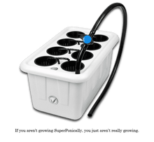 Load image into Gallery viewer, Test111111111